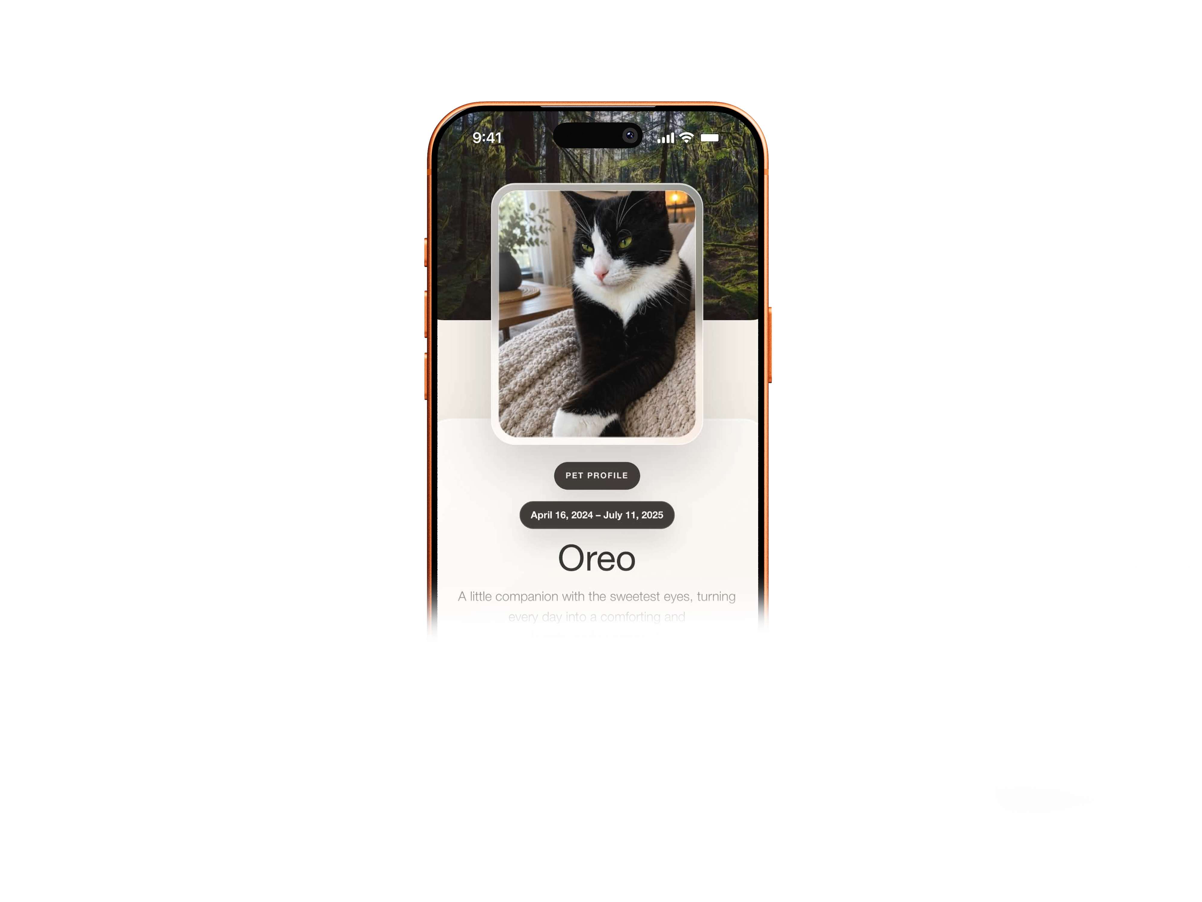 Oreo - Pet profile
