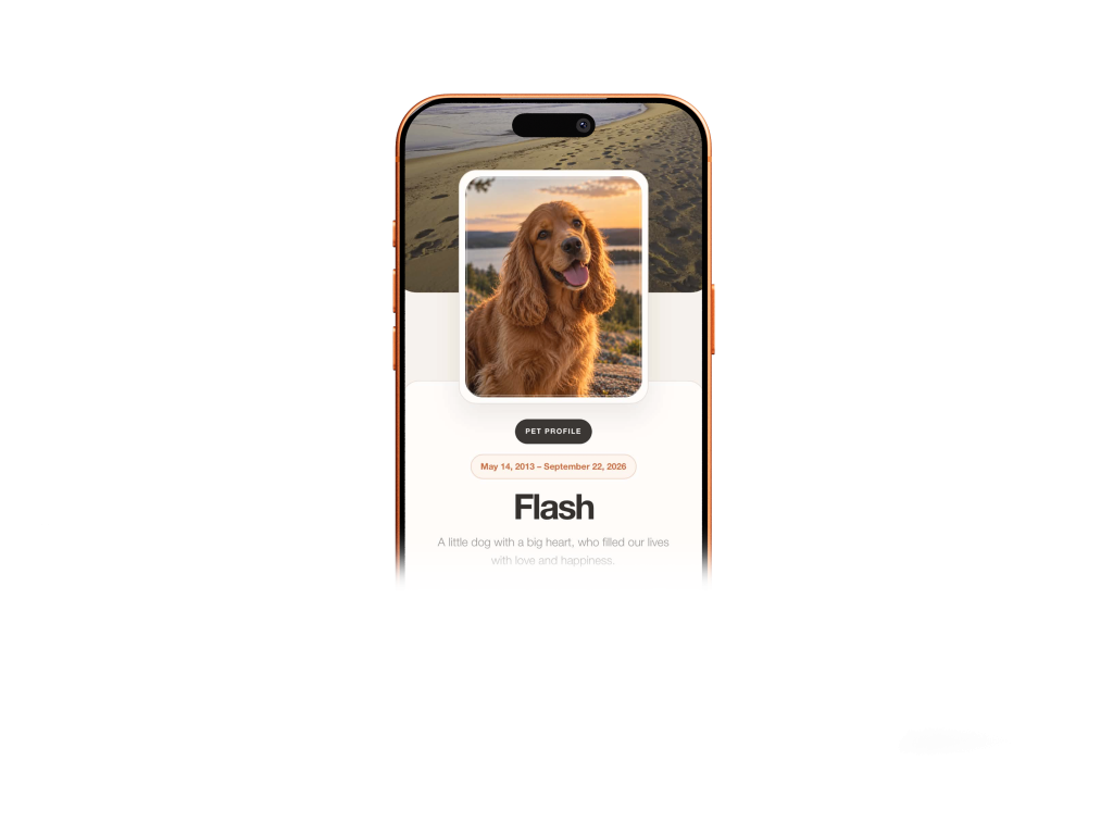 Flash - Pet profile