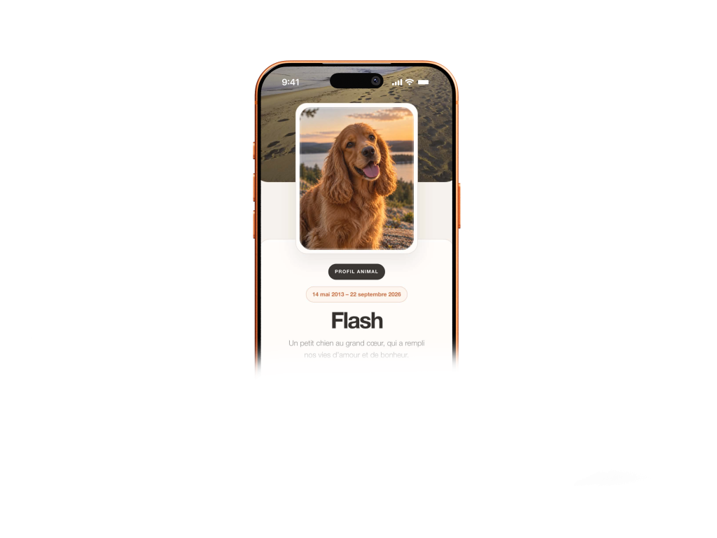 Flash - Profil animal